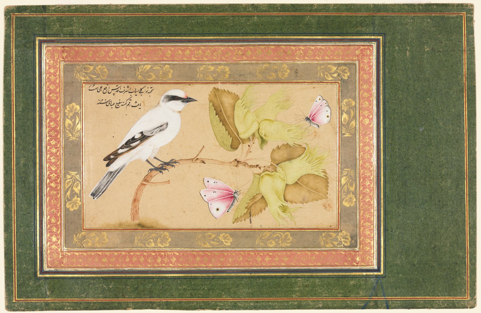 Black and White Bird Perched on a Shrub, 1971.84; Iran, 1651–52
